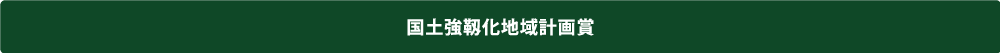 国土強靭化地域計画賞 国土強靭化地域計画賞